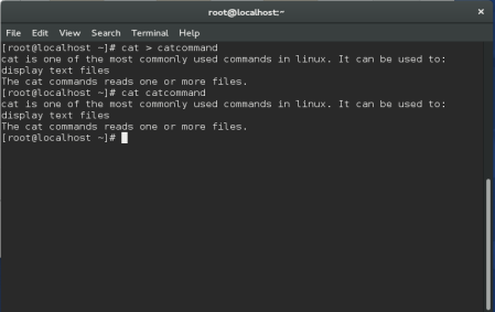 unix commands localhost